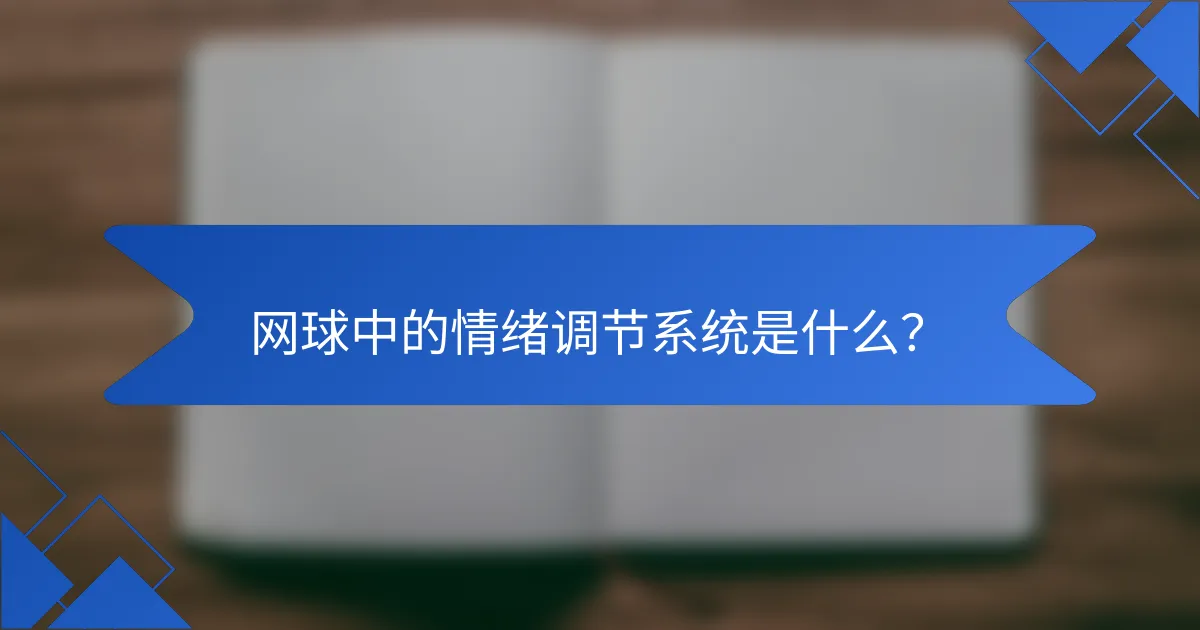 网球中的情绪调节系统是什么？